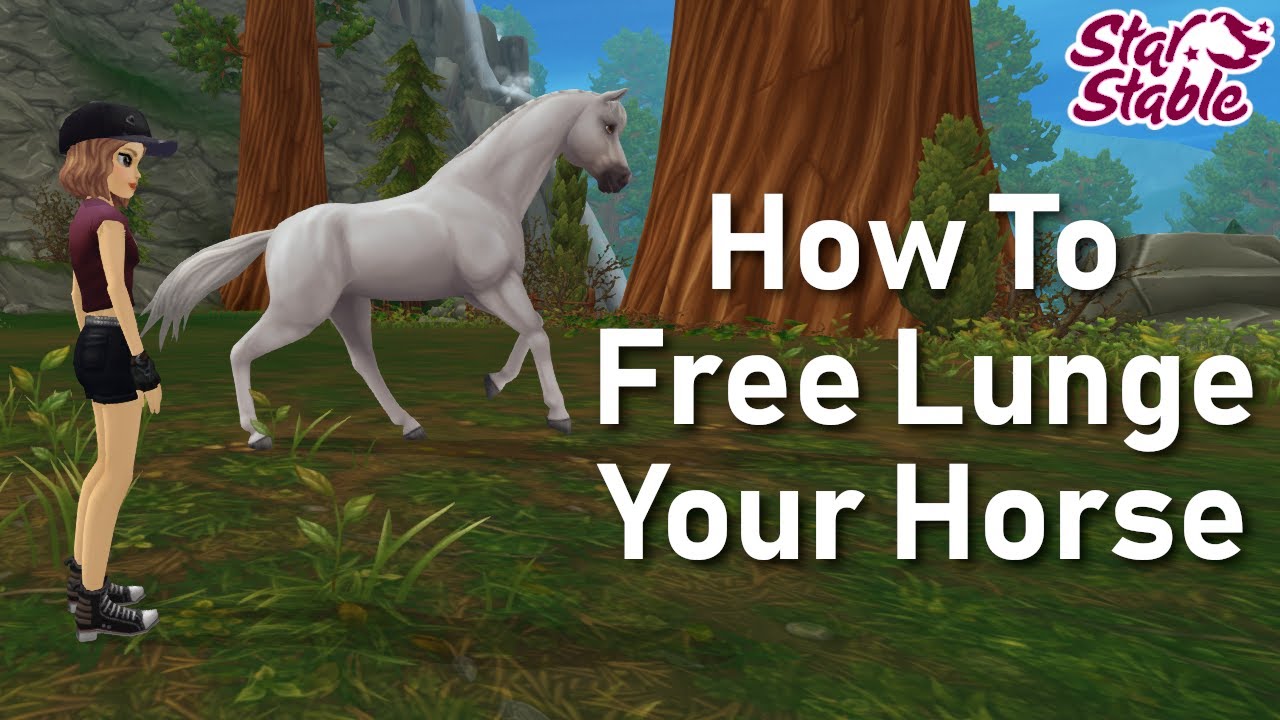 How To Free Lunge Your Horse In SSO Without Cheats YouTube