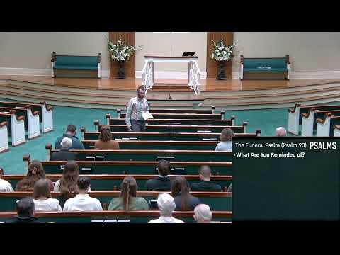Video preview