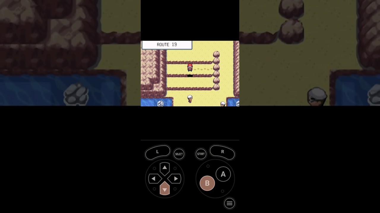 포켓몬스터 리프그린 5화 연분홍시티 관장 배지 획득