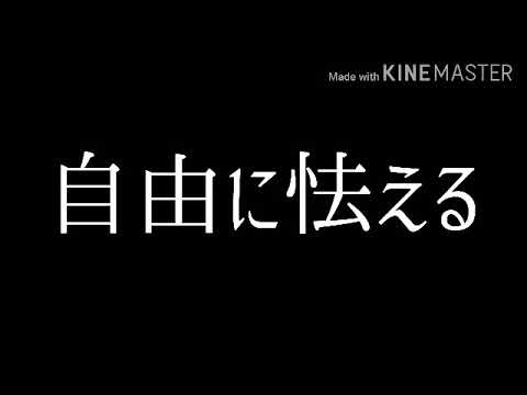 【東方改変PV】めめめめめめ【説明欄】