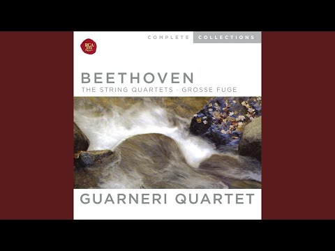 String Quartet No. 13 in B-Flat Major, Op. 130: V. Cavatina. Adagio molto espressivo