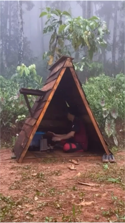 Make a shelter under the rain in the rainforest #bushcraft #survivalskills #camping #camping  #build