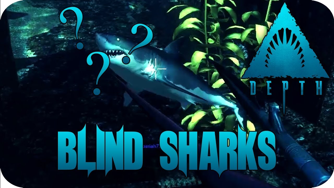 Depth Multiplayer Gameplay - The Blind Shark