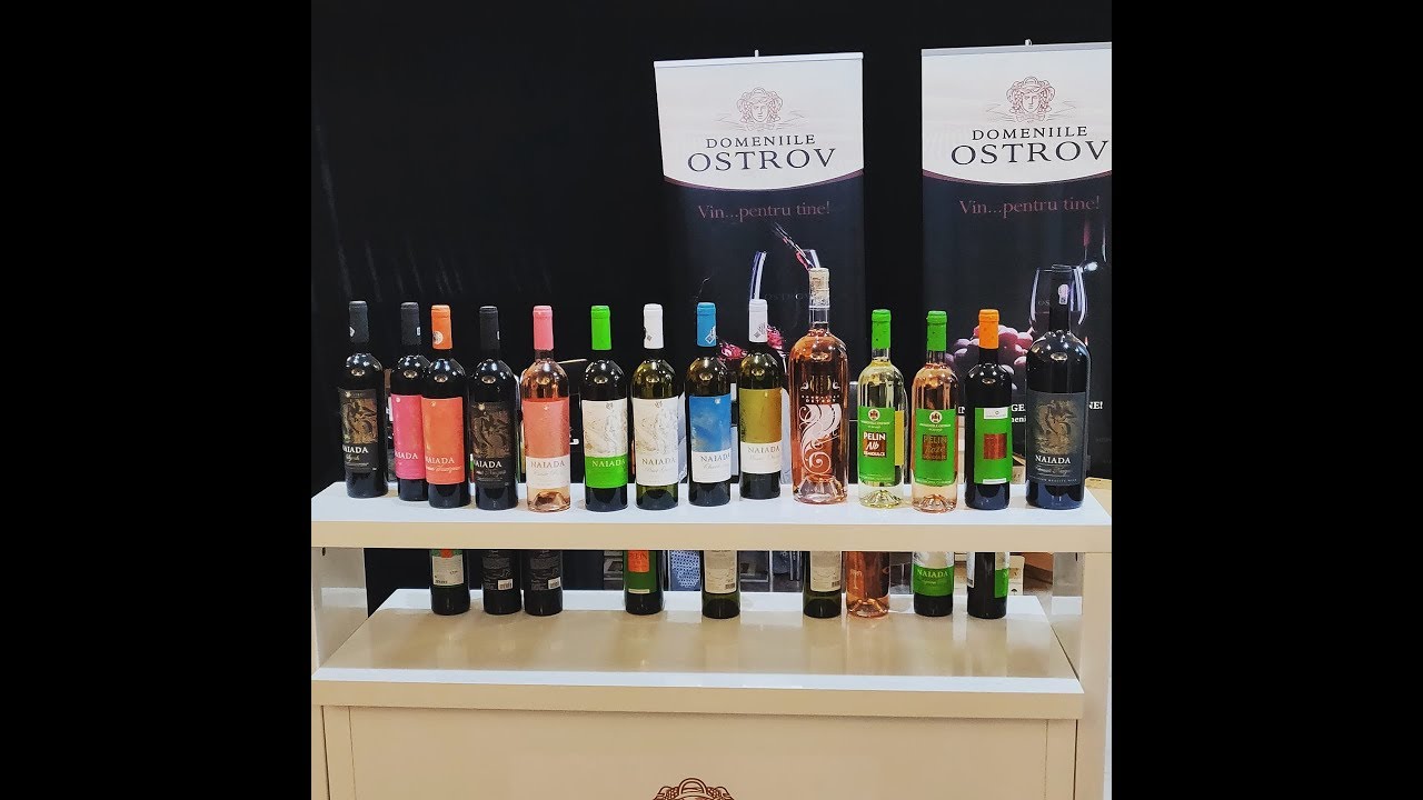 VISIT TO OSTROV WINE MUSEUM I ROMANIA