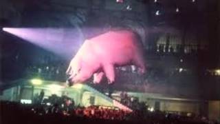 Pink Floyd - Live -  Festhalle, Frankfurt, Germany . January 26, 1977 ( Full Concert )
