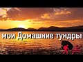 мои Домашние тундры