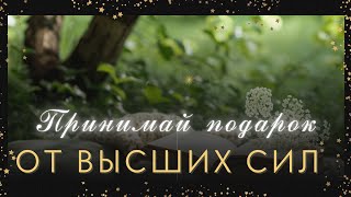 🕊️За что Вас хотят наградить 💫 Высшие силы и чем❓🌹🌗 расклад таро