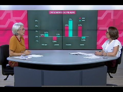 agronegócio no brasil 2019 Agropecuária pode se beneficiar da guerra comercial EUA-China, analisa pesquisadora