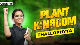 Thallophyta Explained – The Simplest Plants in the Kingdom!