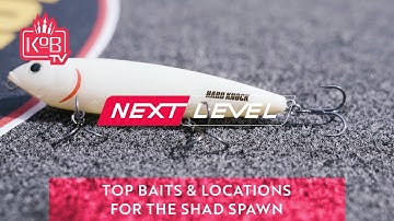 Top Baits and Locations for Shad Spawn Fishing with Andy Montgomery [NEXT LEVEL]