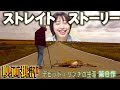 映画批評「ストレイト・ストーリー」 Straight story 【デビッド=リンチ監督 全作品批評 第8作】