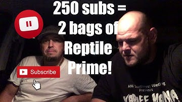250 Subscriber Giveaway!!
