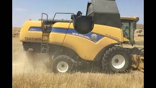 Ali Cansu Harmana Gel