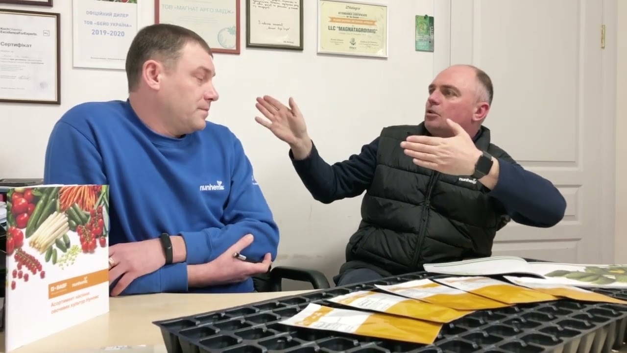 Гібриди огірків для відкритого грунту селекції Нунемс