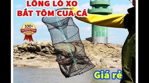 Lồng bẫy Cá , lươn , trạch , ếch , nhái , rắn .... A CƯỜNG 0982510555