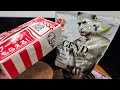 お昼頃に買ったケンチキをケンチキ復活マシンで復活させてトレーニー発狂プロテインでキメるだけの動画