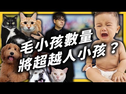 少子化時代，毛小孩卻持續激增中！貓派、狗派，誰比較多？｜志祺七七