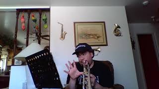 Essential Elements #1 52 Net Worth