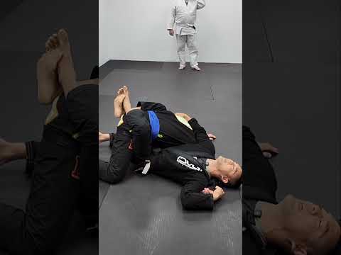 Closed Guard to Octopus 🐙 Guard #bjj #jiujitsu