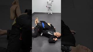 Closed Guard to Octopus 🐙 Guard #bjj #jiujitsu
