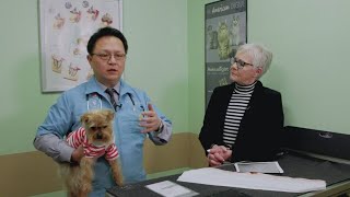 U-Vet Pet Bereavement Services