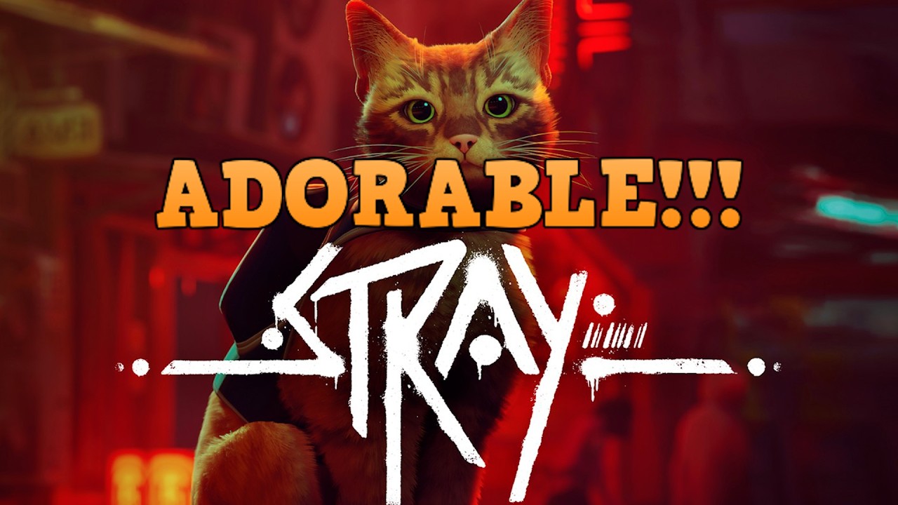 STRAY☆CATです。 The cat life! - Stray - Episode 1 - YouTube