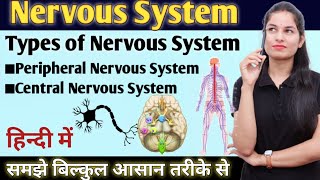 Nervous System | Types of Nervous System | Central Nervous System | Peripheral Nervous System