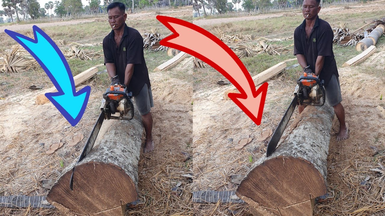 Equipment STIHL Chainsaw MS 070 Sawing A Palm Tree - YouTube