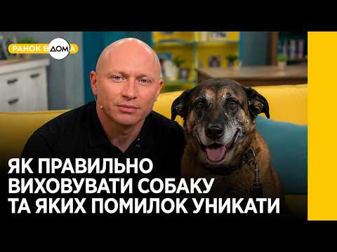 International Dog Day: Viza the Belgian Shepherd in the "Ranku Vdoma" studio