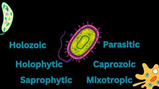 Nutrition in protozoa/protozoa/nutrition/holozoic,saprophytic and parasitic nutrition