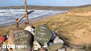 Grave of Harry Potter's Dobby the Elf saved  BBC News