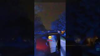 Eminem's Ex-Wife Caught in Shocking Traffic Stop