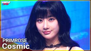 PRIMROSE (프림로즈) ‘Cosmic’ | Simply K-Pop EP.13 260703