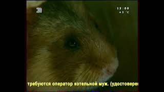 Тайная жизнь Европейских млекопитающих: Хомяк / The Secret Life Of European Mammals:Hamster