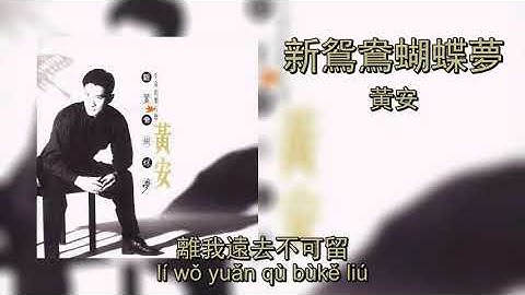 新鴛鴦蝴蝶夢 - 黃安 | Xin Yuan Yang Hu Die Meng - Huang An (Lyrics + Pinyin)