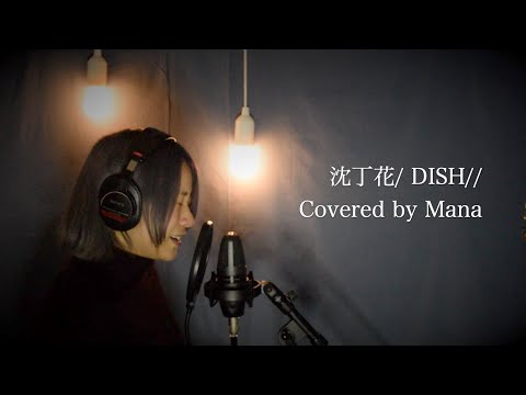 沈丁花/ DISH// 【Covered by Mana】