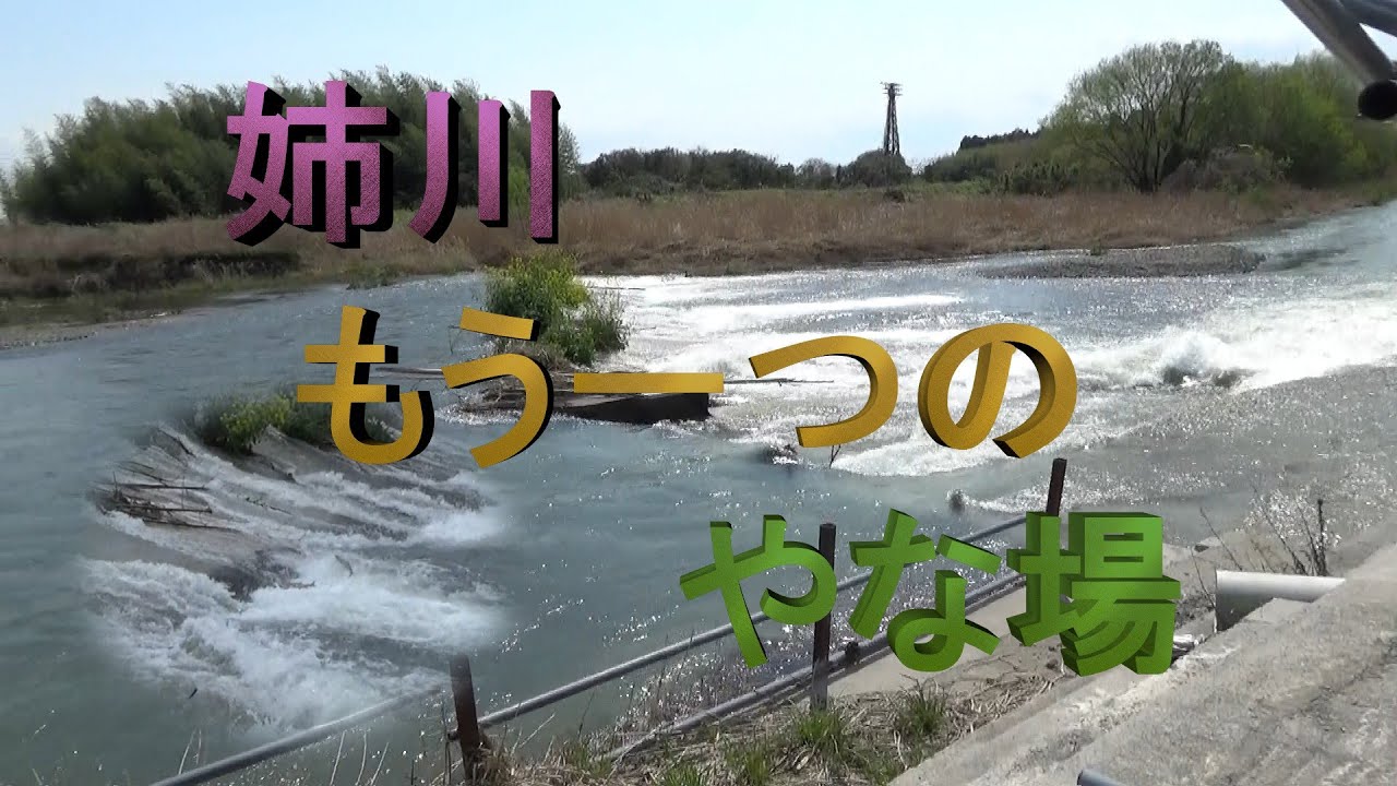 姉川もう一つのやな場 - YouTube