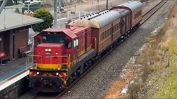 4903 ‘Tarpy’ Transfer Passing Wyee | + Other Trains