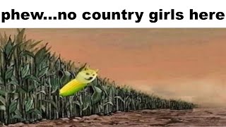 Memes Stolen From Tumblr