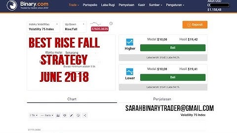 Rise Fall Strategy With 100% Accuracy, No Lose  BINARY.COM