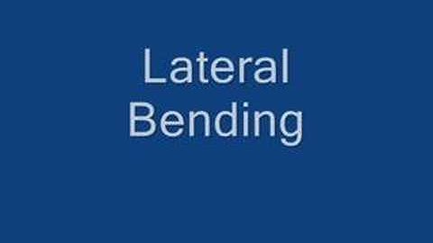 Finite Element Model of the Lumbar Spine