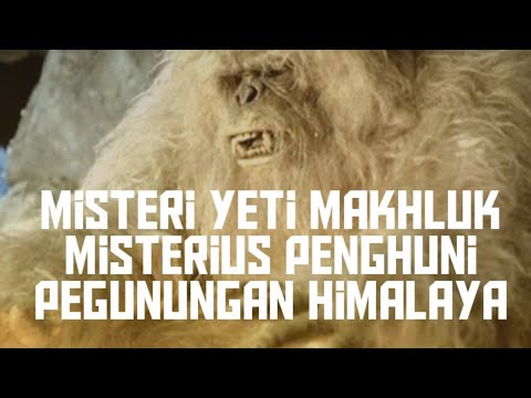 Video: Seorang Warga Inggris Di Gua Kuzbass Bertemu Dengan Yeti - Pandangan Alternatif