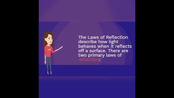 What is Laws of Reflection?