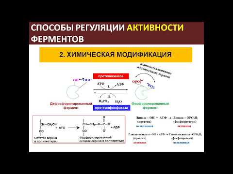 +Индирякова_Ольга_Анатольевна_Биохимия_2_22022022