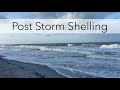 Looking for sea shells after a storm. What crazy things washed up on the beach this week?