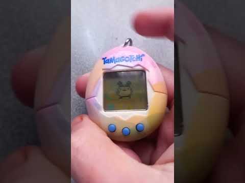 Tamagotchi original de la generación 2 Mimitchi desarrollo completo.