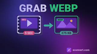 Turn Any MP4 Frame Into a 275KB WebP Image (Free)