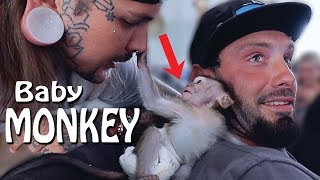 Playing with the CUTEST baby Macaque Monkey!