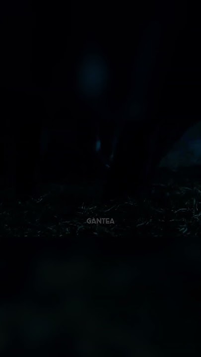 walkers-evolving-the-walking-dead-shorts-youtube