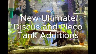 Ultimate Tank Collection Finally Complete